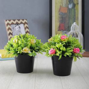 Home Decor In Guntur Design Multi Coloured Plastic Artificial Plant