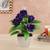 Juno artificial plant white lp