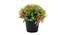 Kara Artificial Plant by Urban Ladder - Front View Design 1 - 335485