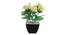 Jubilee Artificial Plant by Urban Ladder - Front View Design 1 - 335486