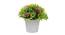 Kane Artificial Plant by Urban Ladder - Cross View Design 1 - 335493