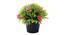 Kara Artificial Plant by Urban Ladder - Cross View Design 1 - 335494