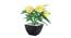 Jubilee Artificial Plant by Urban Ladder - Cross View Design 1 - 335495
