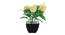 Jubilee Artificial Plant by Urban Ladder - Rear View Design 1 - 335504