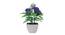 Juno Artificial Plant by Urban Ladder - Rear View Design 1 - 335505