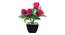 Kenya Artificial Plant by Urban Ladder - Front View Design 1 - 335523