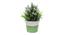 Kent Artificial Plant by Urban Ladder - Rear View Design 1 - 335533