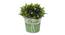 Kent Artificial Plant by Urban Ladder - Front View Design 1 - 335538