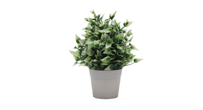 Kimber Artificial Plant by Urban Ladder - Front View Design 1 - 335549