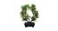Lucien Artificial Plant by Urban Ladder - Front View Design 1 - 335553