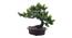 Lavinia Artificial Plant by Urban Ladder - Cross View Design 1 - 335563