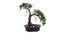 Lois Artificial Plant by Urban Ladder - Rear View Design 1 - 335569