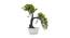 Lyrica Artificial Plant by Urban Ladder - Front View Design 1 - 335581