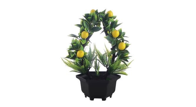 Lucretia Artificial Plant by Urban Ladder - Front View Design 1 - 335582