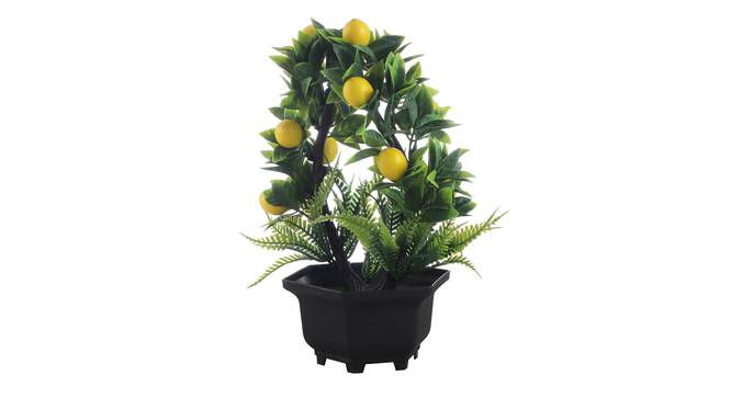 Lucretia Artificial Plant by Urban Ladder - Cross View Design 1 - 335587