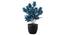 Marisol Artificial Plant by Urban Ladder - Cross View Design 1 - 335605