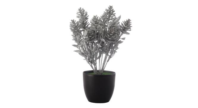 Mika Artificial Plant by Urban Ladder - Front View Design 1 - 335631