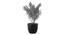 Mika Artificial Plant by Urban Ladder - Cross View Design 1 - 335632