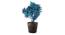 Minerva Artificial Plant by Urban Ladder - Front View Design 1 - 335634