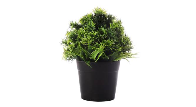 Olympia Artificial Plant by Urban Ladder - Front View Design 1 - 335642