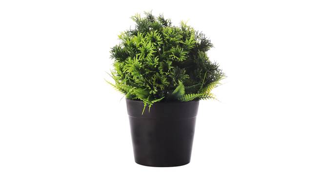 Olympia Artificial Plant by Urban Ladder - Cross View Design 1 - 335643