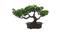 Remy Artificial Plant by Urban Ladder - Front View Design 1 - 335683