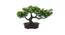 Remy Artificial Plant by Urban Ladder - Cross View Design 1 - 335684