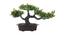 Shayde Artificial Plant by Urban Ladder - Front View Design 1 - 335691