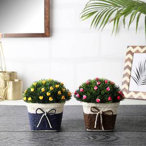 Artificial Plants In Bangalore Design Multi Coloured Plastic Artificial Plant