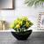 Theo artificial plant black lp