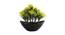 Theo Artificial Plant by Urban Ladder - Rear View Design 1 - 335725