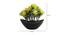 Theo Artificial Plant by Urban Ladder - Design 1 Dimension - 335726