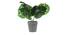 Westley Artificial Plant by Urban Ladder - Front View Design 1 - 335740