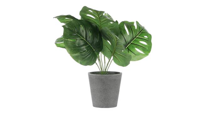 Westley Artificial Plant by Urban Ladder - Cross View Design 1 - 335741