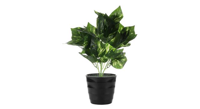 Zayne Artificial Plant by Urban Ladder - Front View Design 1 - 335752