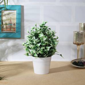 Artificial Plants In Bangalore Design Multi Coloured Plastic Artificial Plant