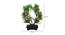 Lucien Artificial Plant by Urban Ladder - Design 1 Dimension - 335801