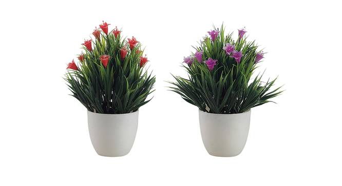 Lula Artificial Plant by Urban Ladder - Front View Design 1 - 335807