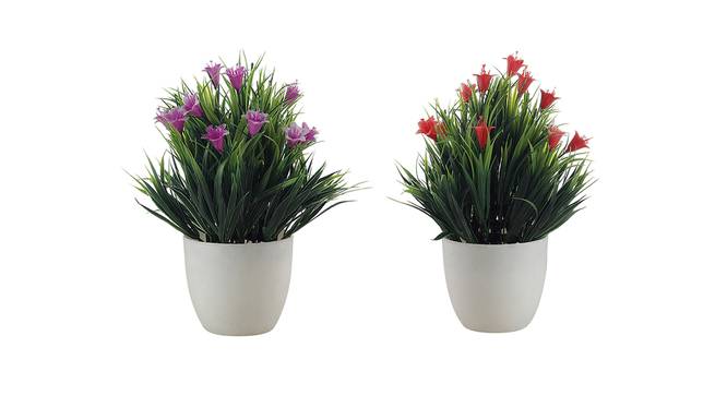Lula Artificial Plant by Urban Ladder - Cross View Design 1 - 335808