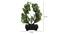Macy Artificial Plant by Urban Ladder - Rear View Design 1 - 335813