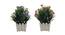 Magdelene Artificial Plant by Urban Ladder - Front View Design 1 - 335815