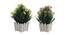 Marcella Artificial Plant by Urban Ladder - Cross View Design 1 - 335819
