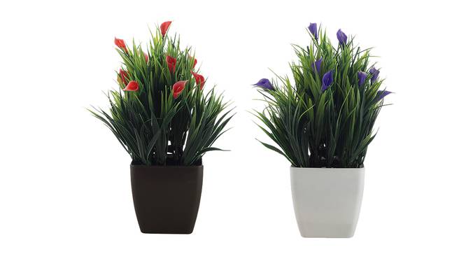Maribel Artificial Plant by Urban Ladder - Front View Design 1 - 335828