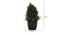Matteo Artificial Plant by Urban Ladder - Design 1 Dimension - 335842