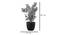 May Artificial Plant by Urban Ladder - Design 1 Dimension - 335843
