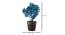 Minerva Artificial Plant by Urban Ladder - Design 1 Dimension - 335848