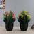 Lux artificial plant black lp