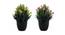 Lux Artificial Plant by Urban Ladder - Design 1 Half View - 335889