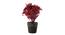 Millicent Artificial Plant by Urban Ladder - Front View Design 1 - 335897