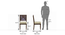 Mirasa Dining Chair - Set of 2 (Sandstorm) by Urban Ladder - Dimension - 336332